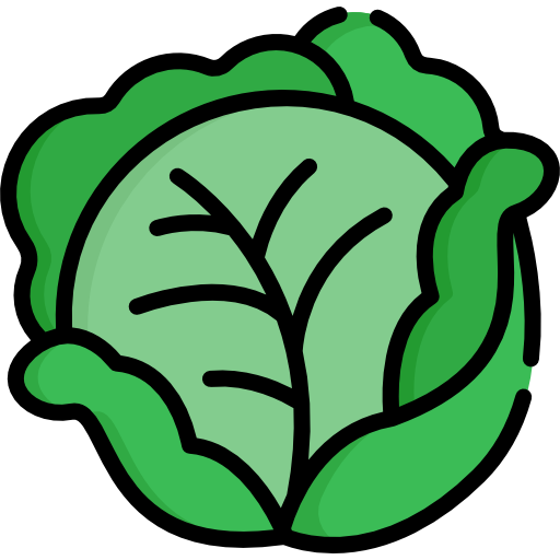 Cabbage Icon